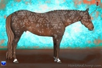 Horse Color:Liver Chestnut Ice 