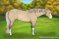 Horse Color:Silver Buckskin Roan Dun Splash 