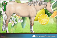 Horse Color:Silver Classic Champagne Dun Splash Rabicano 