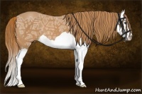 Horse Color:Chestnut Ice Splash 