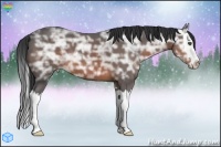 Horse Color:Brown Ice Sabino Splash