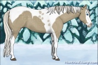 Horse Color:Silver Smoky Grullo Splash Tobiano 