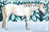 Horse Color:Smoky Creme Tobiano Frame