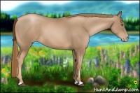 Horse Color:Liver Chestnut Pearl 