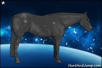 Horse Color:Smoky Black