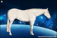 Horse Color:Smoky Creme 