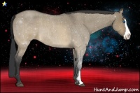 Horse Color:Buckskin Roan Dun Splash Frame Rabicano 