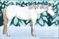 Horse Color:Chestnut Splash Tobiano Rabicano