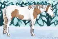 Horse Color:Chestnut Splash Tobiano Rabicano 