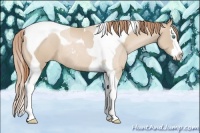 Horse Color:Smoky Black Pearl Sabino Splash Tobiano Rabicano