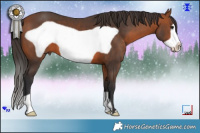 Horse Color:Brown Frame 