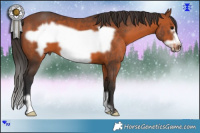 Horse Color:Brown Frame 