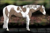 Horse Color:Silver Smoky Black Splash Tobiano