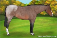 Horse Color:Bay Roan Sabino