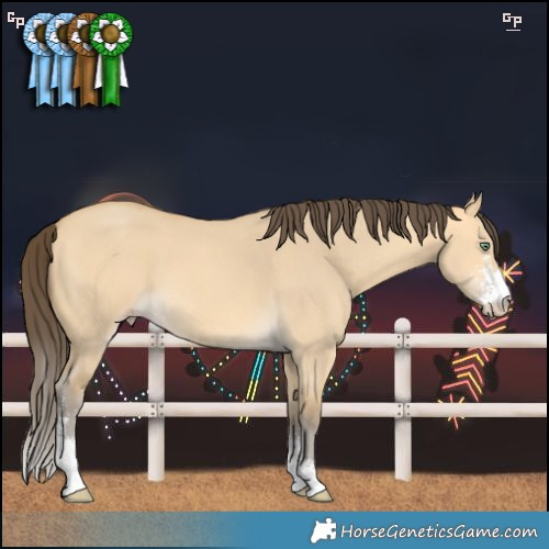 Horse Color:Amber Cream Champagne Dun Sabino 