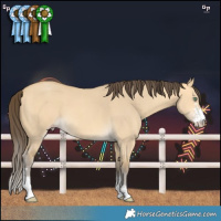 Horse Color:Amber Cream Champagne Dun Sabino