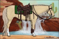 Horse Color:Palomino Dun Frame 