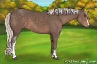 Horse Color:White Spotted Silver Black Sabino