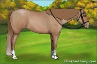 Horse Color:Brown Pearl