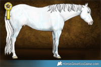 Horse Color:Silver Sable Champagne Dun Sabino Splash Frame 