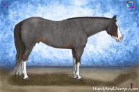 Horse Color:Liver Red Roan Sabino Splash
