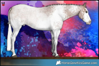 Horse Color:White Spotted Silver Blue Roan Splash 