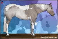 Horse Color:Silver Blue Roan Tobiano 