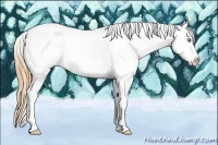 Horse Color:Gold Champagne Roan Splash Tobiano Frame Leopard Rabicano