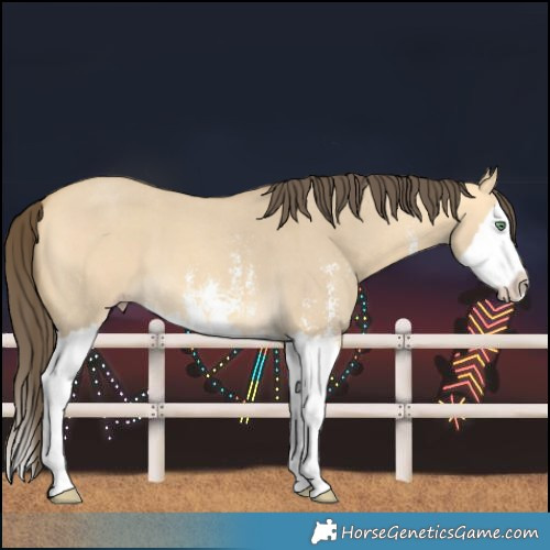 Horse Color:Amber Cream Champagne Dun Sabino Splash 