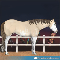 Horse Color:Amber Cream Champagne Dun Sabino Splash 