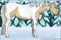 Horse Color:Silver Buckskin Dun Tobiano 
