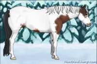 Horse Color:Bay Tobiano Frame