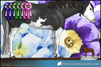 Horse Color:Liver Chestnut Splash Frame Rabicano 