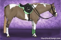 Horse Color:Liver Red Dun Splash Tobiano Rabicano