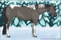 Horse Color:Grullo Tobiano 
