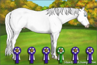 Horse Color:Gray Silver Perlino Dun Splash 