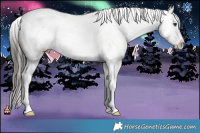 Horse Color:Liver Red Dun Roan Splash Frame Appaloosa Rabicano 