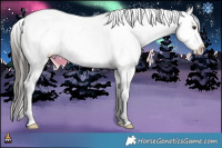 Horse Color:Liver Red Dun Roan Splash Frame Appaloosa Rabicano 