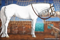 Horse Color:Silver Bay Appaloosa 