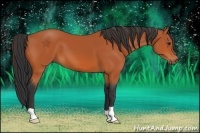 Horse Color:Bay 