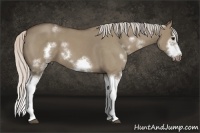 Horse Color:White Spotted Silver Grullo Roan Splash Frame 