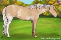 Horse Color:White Spotted Silver Classic Champagne 