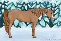 Horse Color:Chestnut Splash 