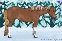 Horse Color:Chestnut Tobiano