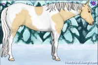 Horse Color:Silver Buckskin Dun Tobiano 