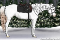 Horse Color:Chestnut Snowflake Varnish 