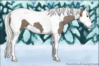 Horse Color:Silver Black Splash Tobiano 
