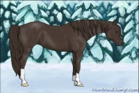 Horse Color:Liver Chestnut 