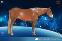 Horse Color:Chestnut Sabino  Brindle