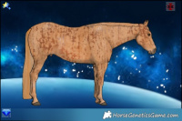 Horse Color:Chestnut Sabino  Brindle